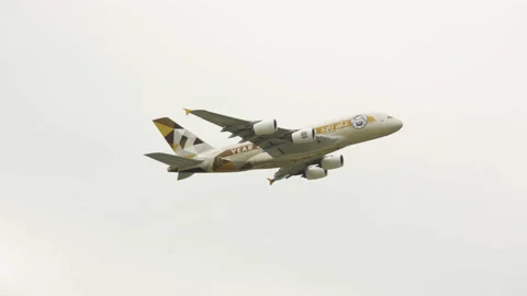 A380 Emirates Year of Zayed fleet Vídeo Stock 142944402
