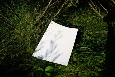 A4 sheet mockup in a field of grass with shadows from plants in the evening Stock Photos