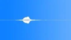 A4n 099 - coach pass 50 mphSound Effect