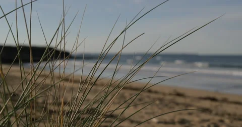 A67A6039 Stock Footage 230870107