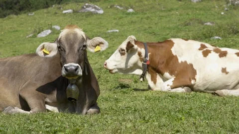 A7S 08.09.2017 (26) Stock Footage 102615417