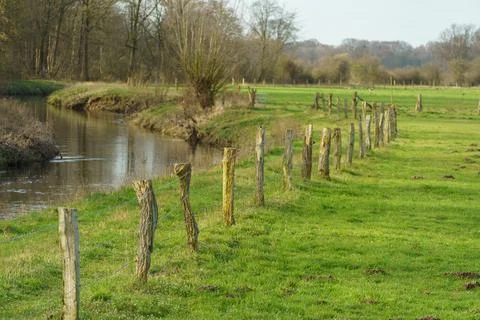 The aa river in westphalia Stock Photos