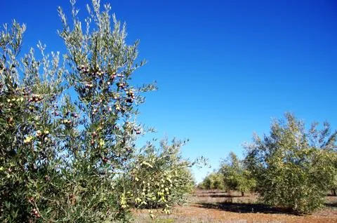 AABB8435 Stock Photos