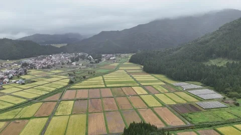 AAerial Drone View of Misty Uonuma, Japan – Fog and Rain Over Rice Fields Stock Footage 301443563