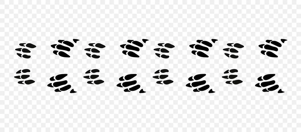 Aardvark paws Stock Illustration