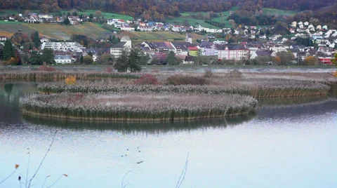 Aare River Field Stock Footage 32820357