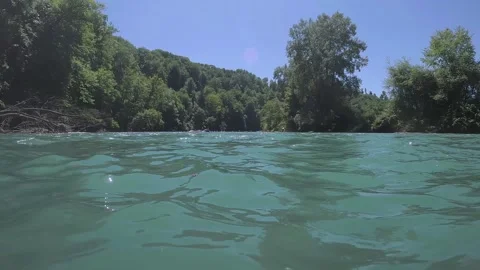 Aare swarm around the Bremgarten loop, fallen tree sticking into the water, Stock Footage 337376512