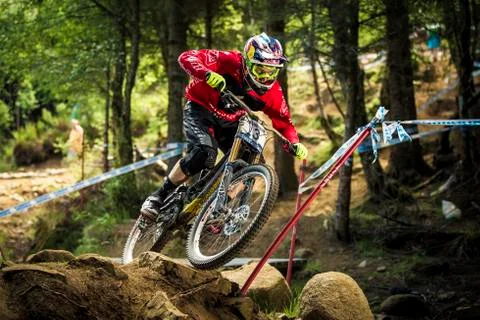 Aaron Gwin Stock Photos
