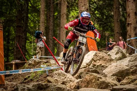 Aaron Gwin Stock Photos