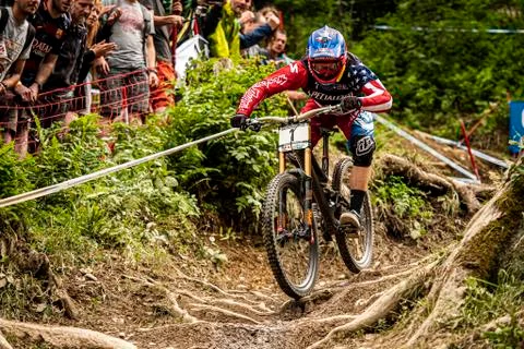 Aaron Gwin Stock Photos