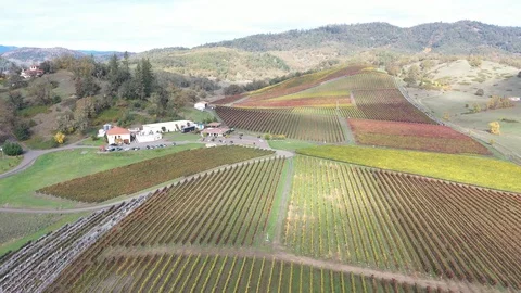 Abacela 3 Stock Footage 119394887