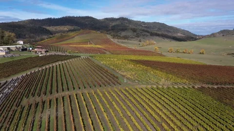 Abacela 4 Stock Footage 119394981