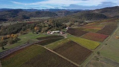 Abacela 5 Stock Footage 119395049