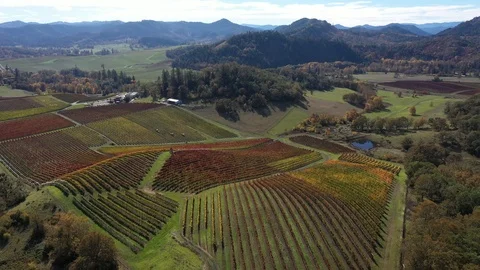 Abacela 6 Stock Footage 119395041