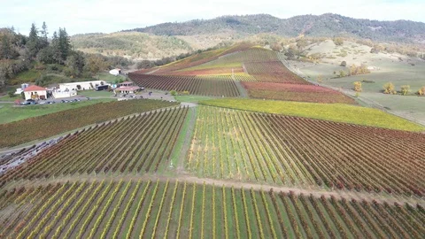 Abacela 8 Stock Footage 119395124