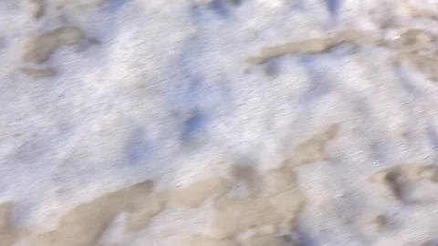 An Abalone shell lays on the beach sand and a wave washes over it Stock Footage 333765162
