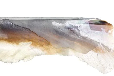 Abalone shell texture shot with macro lens Stock Photos