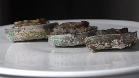 Abalone on a white plate. Stock-Footage 300074764
