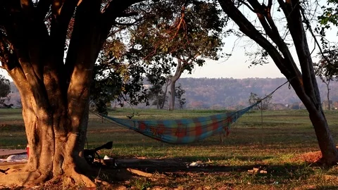 Abandon Campsite Stock Footage 113062940