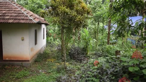 An abandon house Video stock 201873224
