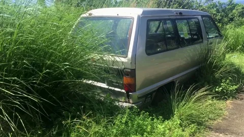 Abandon vehicle at roadside in grass Stock Footage 81007083