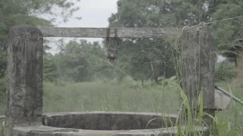 Abandon well in the paddy 스톡 동영상 310449263