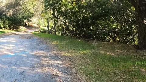 Abandoned 1930's Compound Road Video stock 152852325
