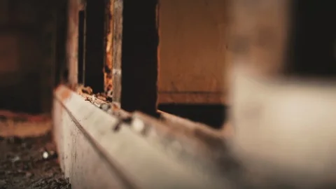 ABANDONED 40- Three clips in one Vídeos de archivo 113353391