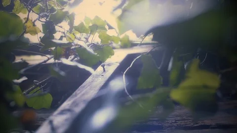 ABANDONED 8 Stock Footage 113317983