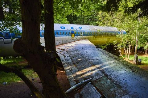 Abandoned Airplane in Forest from Elevated Perspective 스톡 사진