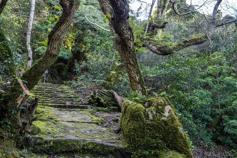 Abandoned and empty medieval Convento dos Capuchos in the Serra de Sintra Nat Foto stock