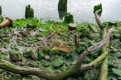 Abandoned and Mangled Shopping Cart Sitting in Harbor Foto stock