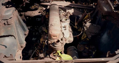 Abandoned Antique Car Engine in Forest - Old and Rusted Vídeo Stock 119000883