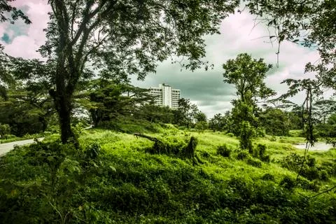 Abandoned apartment complex Stock Photos