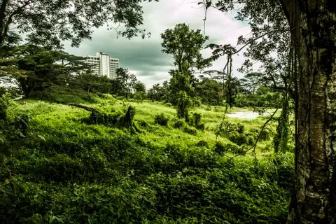 Abandoned apartment complex Stock Photos