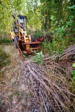 Abandoned backhoe in the forest Stock Photos