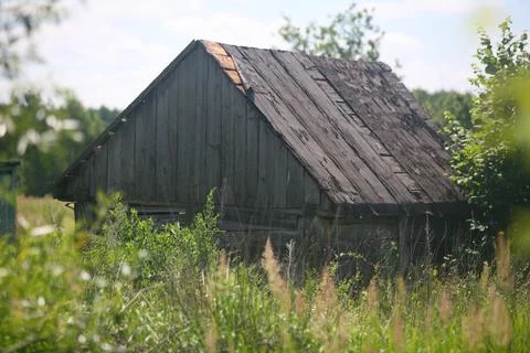 Abandoned Barn Framed By Greenery Stock Photos