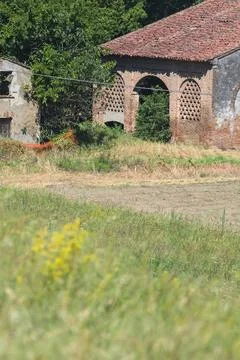 Abandoned barn in a grove Stock Photos