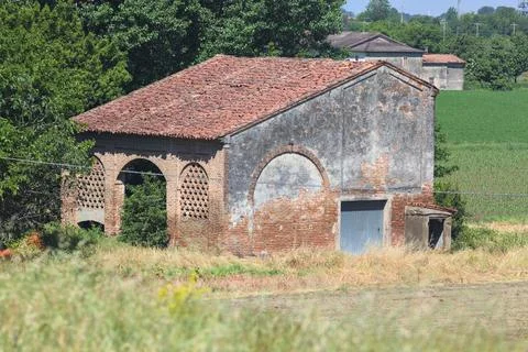Abandoned barn in a grove Stock Photos