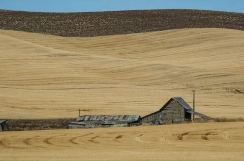 Abandoned Barn Stock Photos
