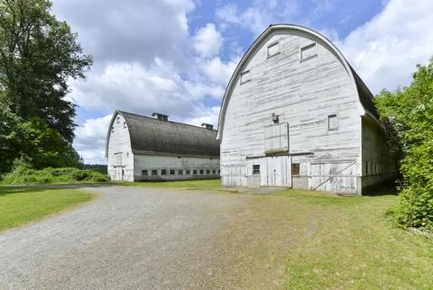 Abandoned barn Foto stock