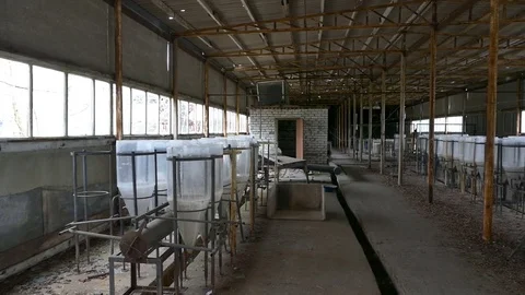 Abandoned base of hydrobiologists or fish farm in the Chernobyl disaster. 2017 Stock Footage 75242014