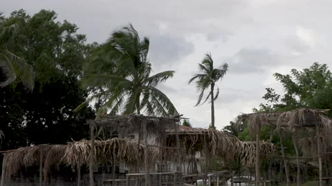 Abandoned beach hut on the beach with wind and gray sky , horror stressful mood Stock Footage 182448791