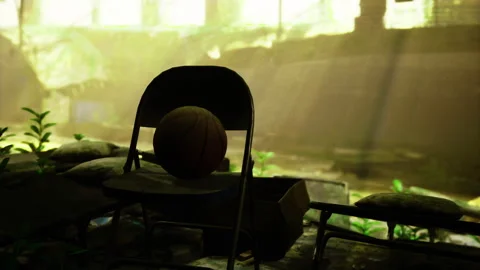 Abandoned bench amid vibrant young plants inspires calming thoughts Stock Footage 342434921