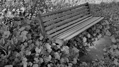 An abandoned bench Stock Footage 296995586