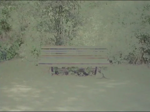 Abandoned Bench in a Park Stock-Footage 135660361