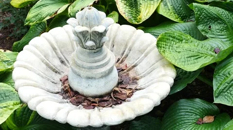 Abandoned Bird Feeder Stock Footage 54534081