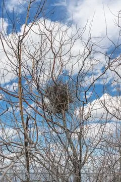 Abandoned bird nest with cloudscape on background good conceptual image for e Stock Photos