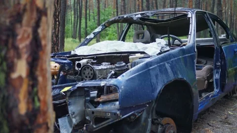 An Abandoned Blue Car Found in a Secluded Forest Area, Surrounded by Natures Stock Footage 314990975