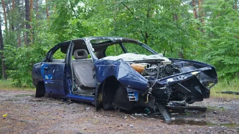 An Abandoned Blue Car Left Alone in a Forest Surrounded by Natures Beauty and Vídeos de archivo 314273412